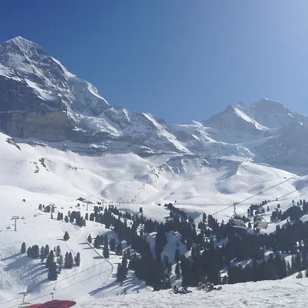 Hotel Silberhorn 3*