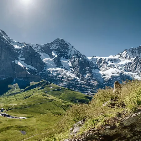 מלון Silberhorn לוטרברונן