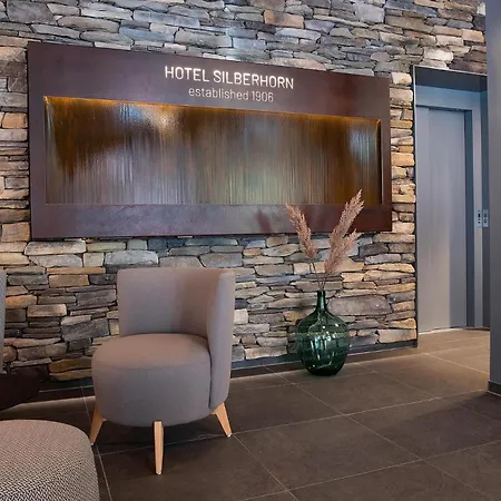 Silberhorn מלון לוטרברונן