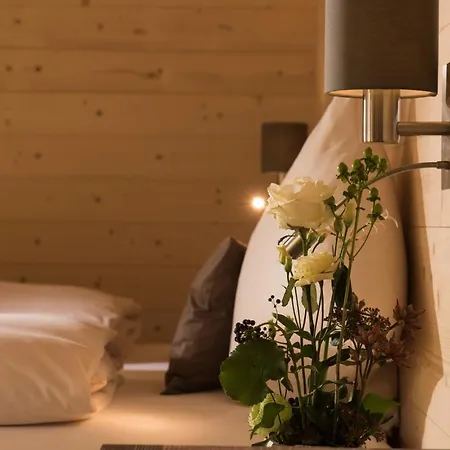 מלון Silberhorn 3*