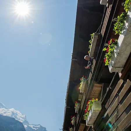 מלון Silberhorn לוטרברונן